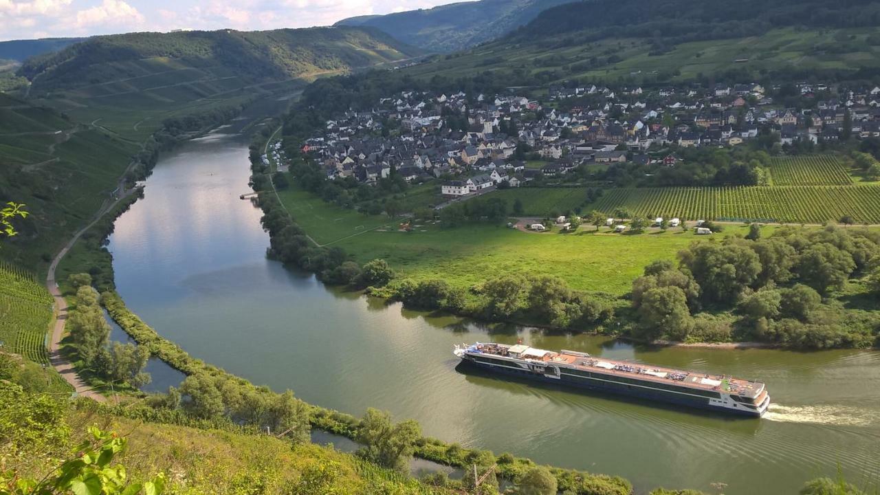 Mosel Ausblick Apartment Zell an der Mosel Exterior photo