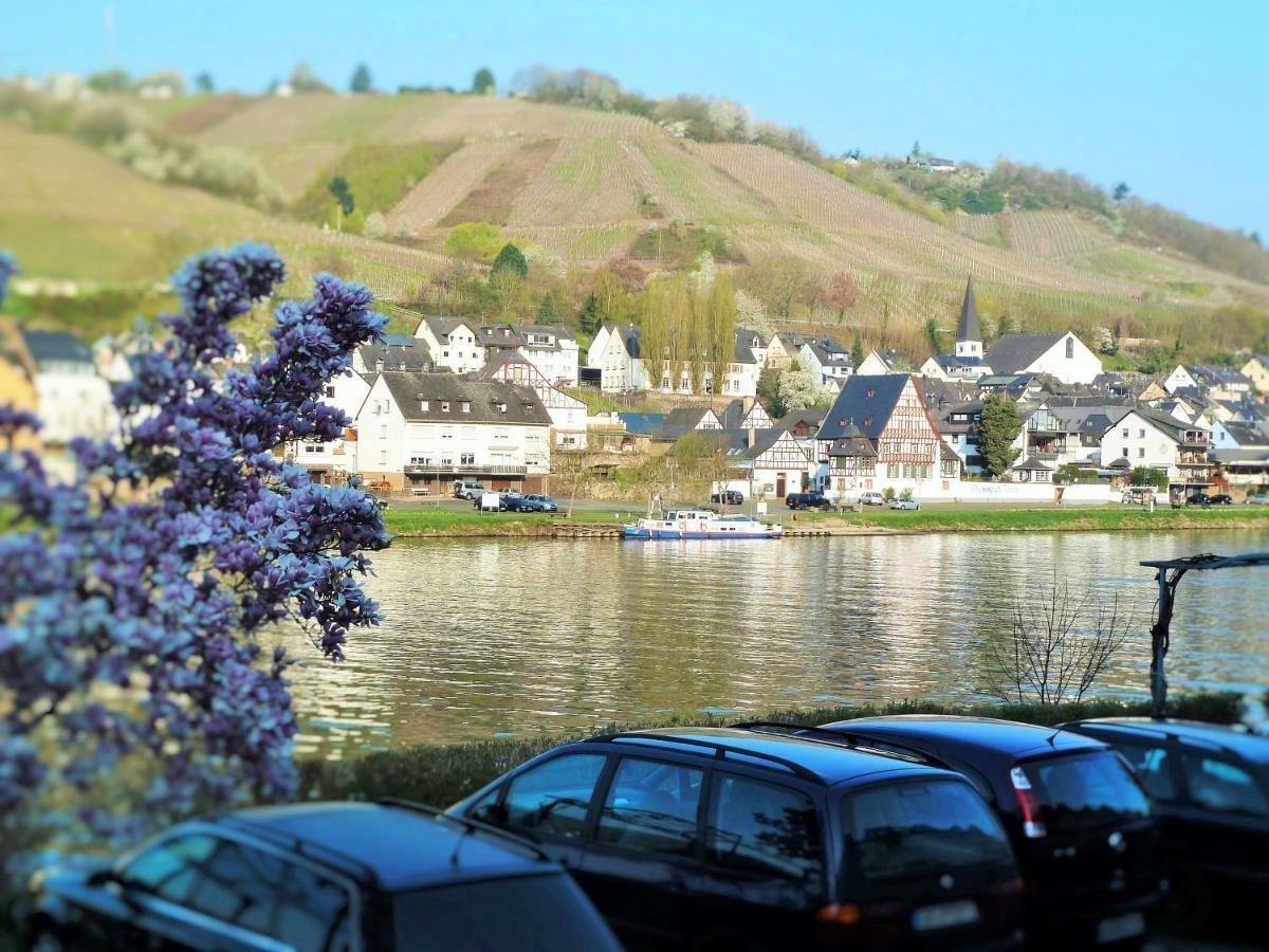 Mosel Ausblick Apartment Zell an der Mosel Exterior photo