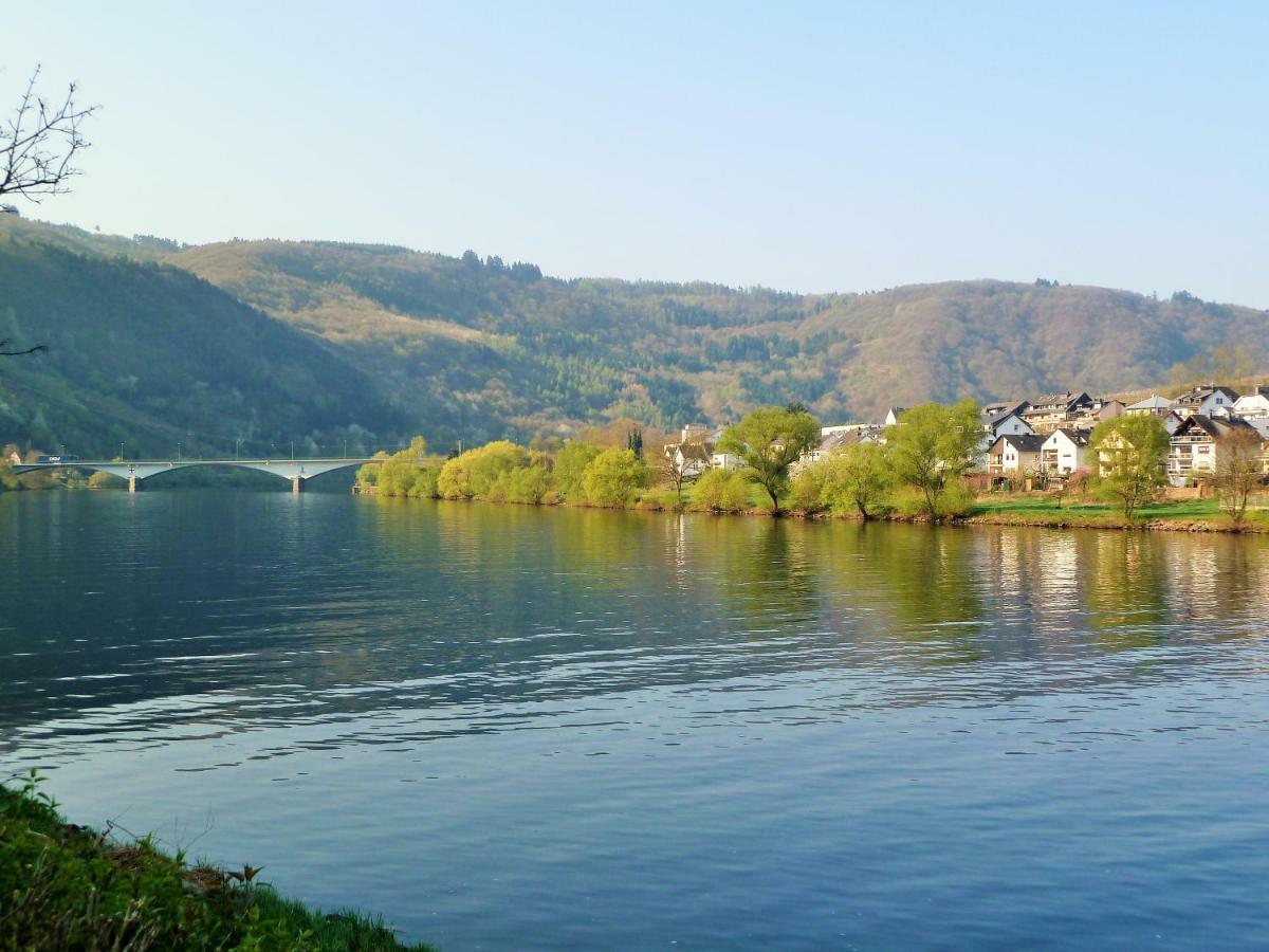Mosel Ausblick Apartment Zell an der Mosel Exterior photo