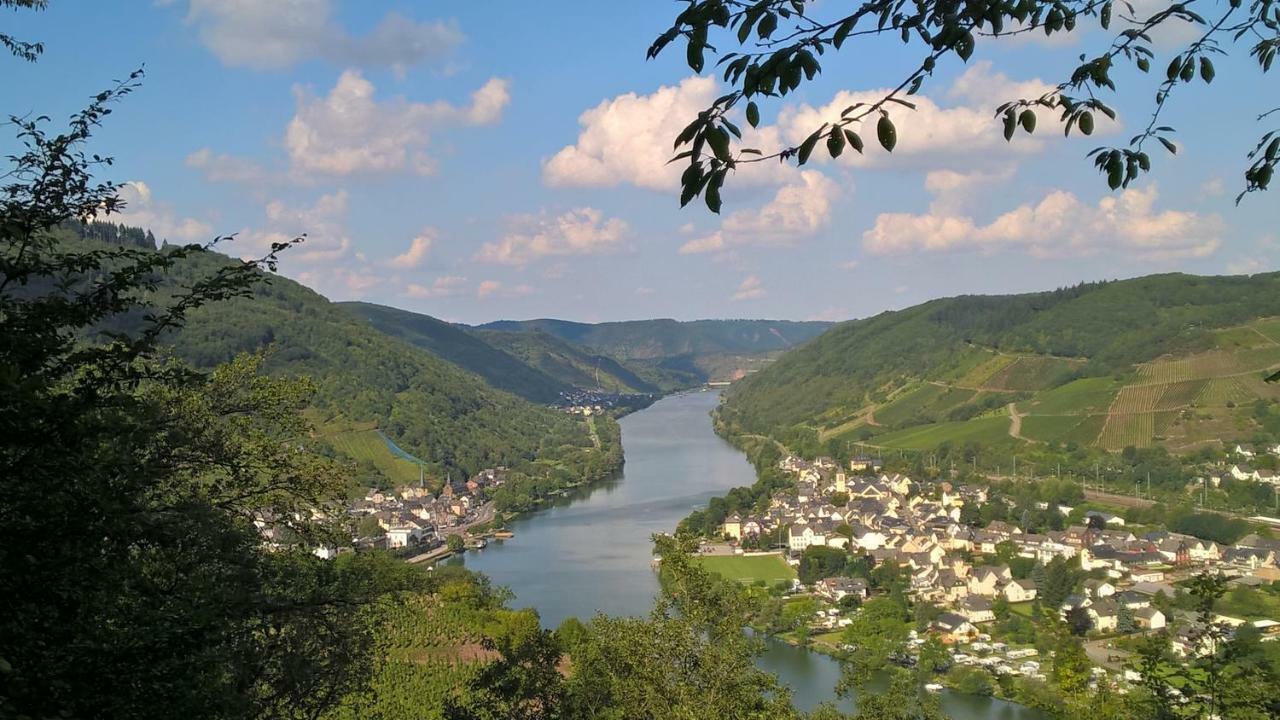 Mosel Ausblick Apartment Zell an der Mosel Exterior photo